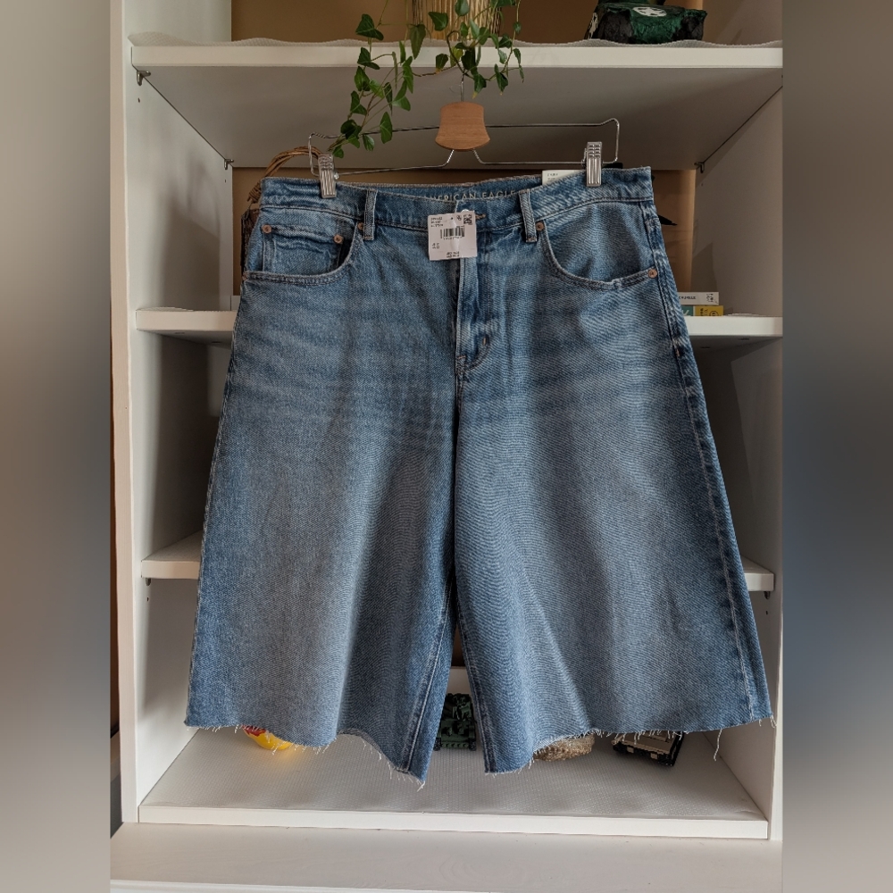 American Eagle AE 15" Low Rise Baggy Jort